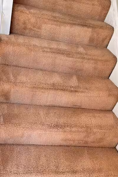 Breeze Carpet & Upholstery Cleaning - Carpet Cleaning